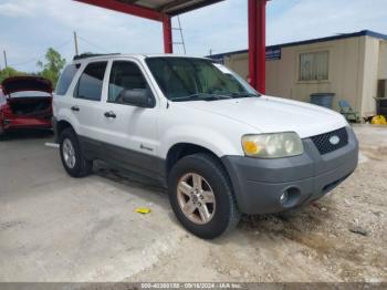  Salvage Ford Escape