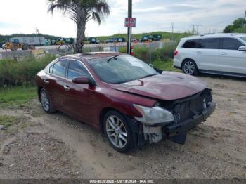  Salvage Nissan Maxima