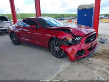  Salvage Ford Mustang