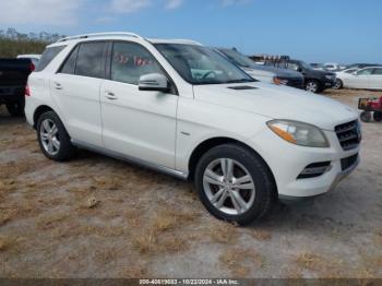  Salvage Mercedes-Benz M-Class