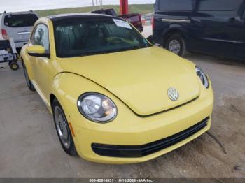  Salvage Volkswagen Beetle