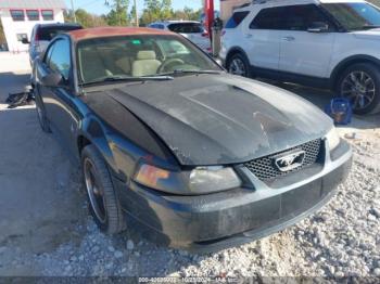  Salvage Ford Mustang