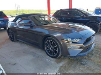  Salvage Ford Mustang