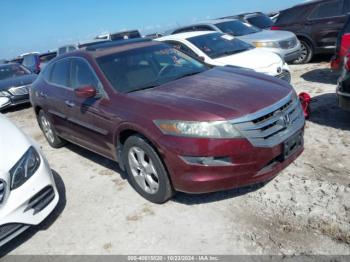  Salvage Honda Crosstour