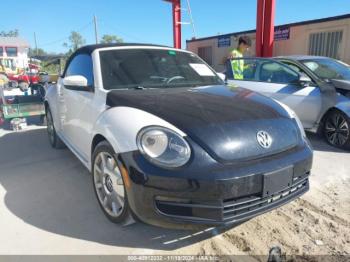  Salvage Volkswagen Beetle