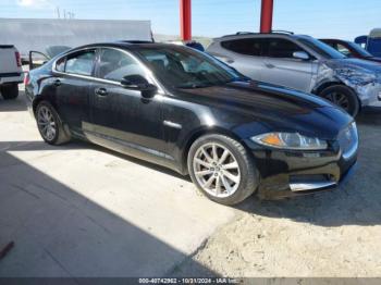  Salvage Jaguar XF