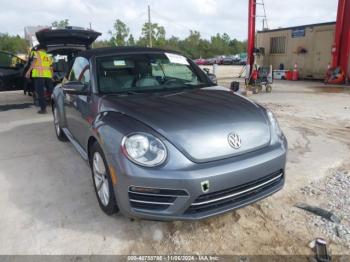  Salvage Volkswagen Beetle