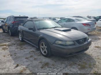  Salvage Ford Mustang