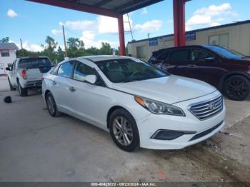  Salvage Hyundai SONATA