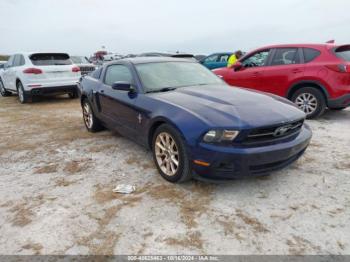  Salvage Ford Mustang