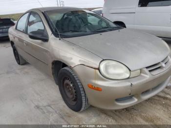  Salvage Dodge Neon