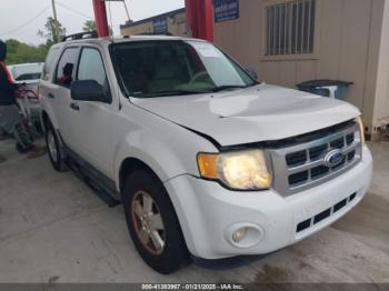  Salvage Ford Escape