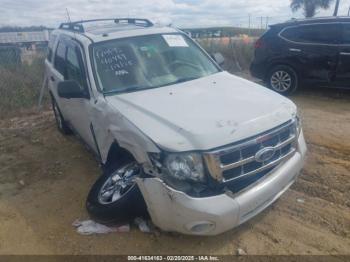  Salvage Ford Escape