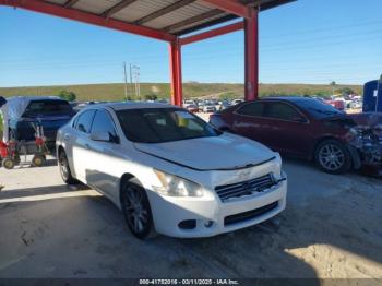  Salvage Nissan Maxima