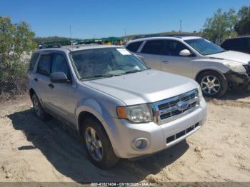  Salvage Ford Escape