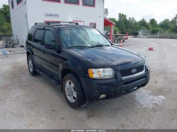  Salvage Ford Escape