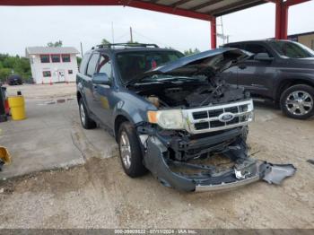  Salvage Ford Escape