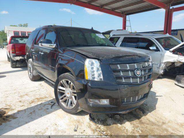  Salvage Cadillac Escalade
