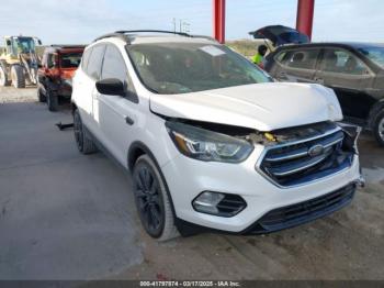  Salvage Ford Escape