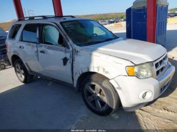  Salvage Ford Escape