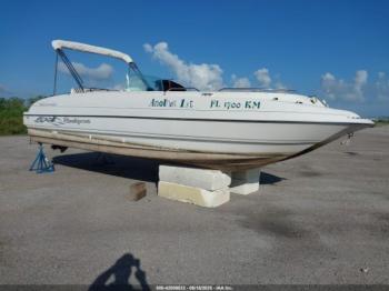  Salvage Bayliner Other