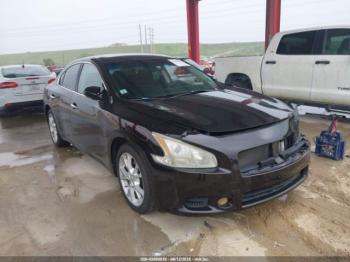  Salvage Nissan Maxima