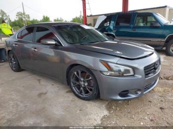  Salvage Nissan Maxima