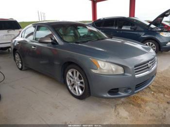  Salvage Nissan Maxima