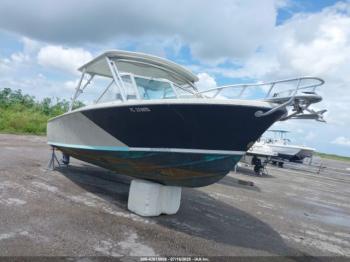  Salvage Bertram Other