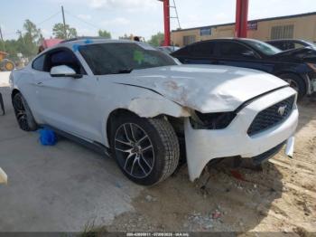  Salvage Ford Mustang