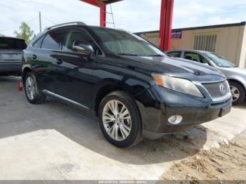  Salvage Lexus RX