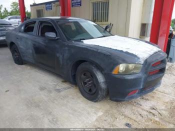  Salvage Dodge Charger