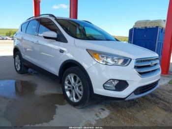  Salvage Ford Escape