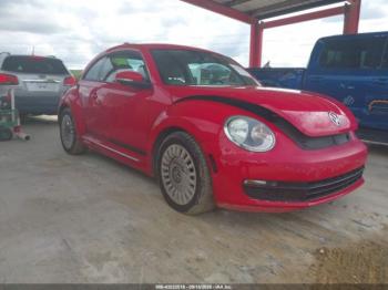  Salvage Volkswagen Beetle