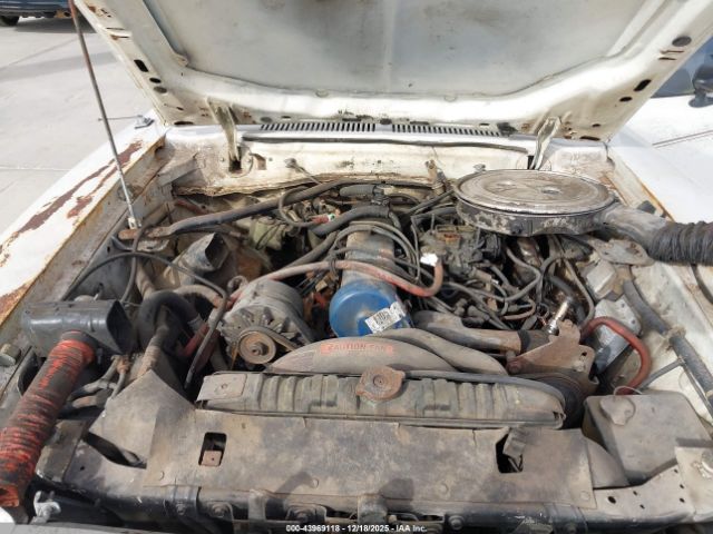 Ford Mustang Image 2