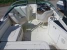 Sea Ray Other Image 4
