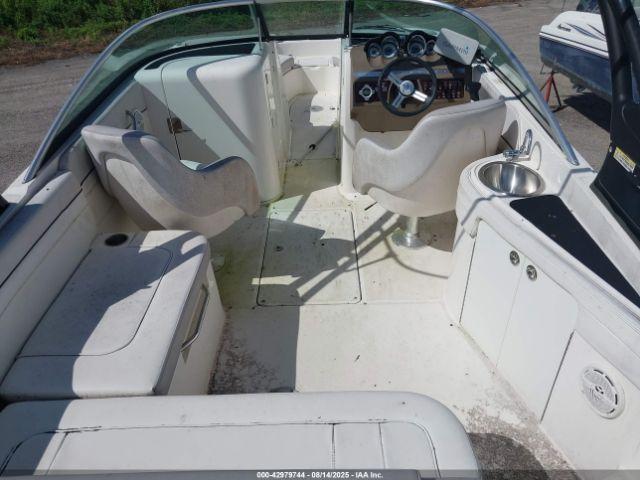 Sea Ray Other Image 4