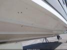 Sea Ray Other Image 19