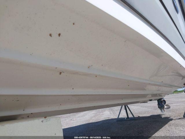 Sea Ray Other Image 19