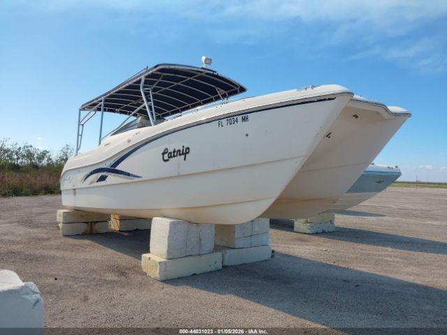  Salvage World Cat Other