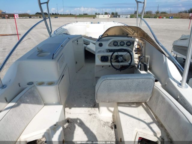 World Cat Other Image 3