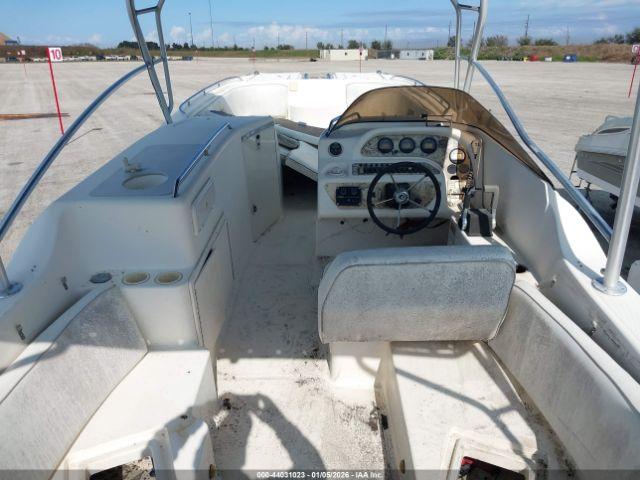 World Cat Other Image 3