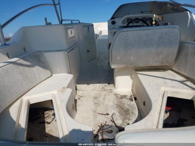 World Cat Other Image 5