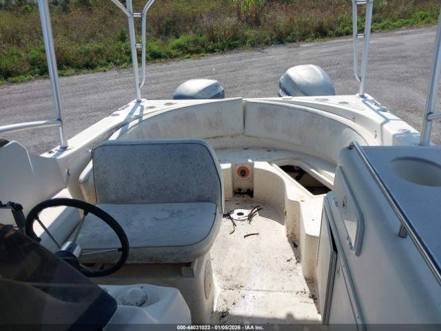 World Cat Other Image 8