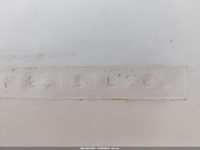 World Cat Other Image 9