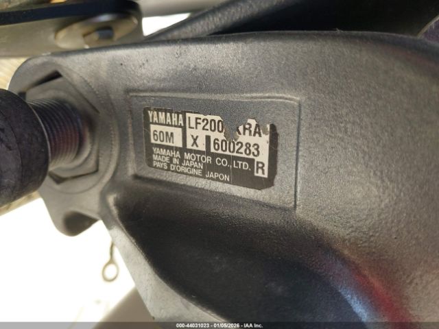 World Cat Other Image 13