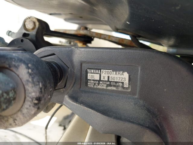 World Cat Other Image 16