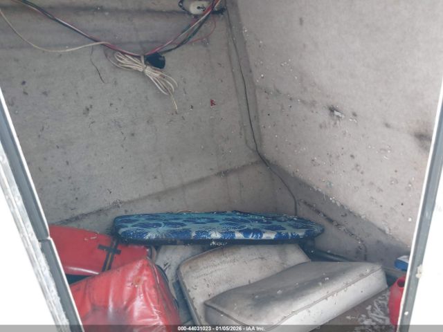 World Cat Other Image 14