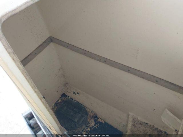 World Cat Other Image 15