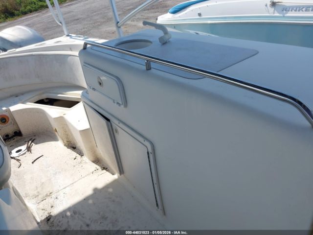 World Cat Other Image 11